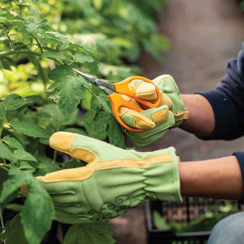 ARS 320DX - T Grape Scissors - Progressive Growth Garden Supply