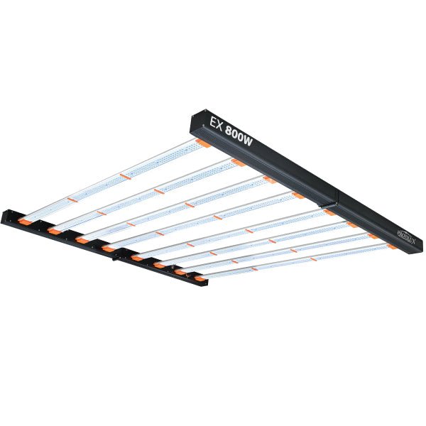 800W LED Grow Light- Extreme Full spectrum, – Progressive Growth