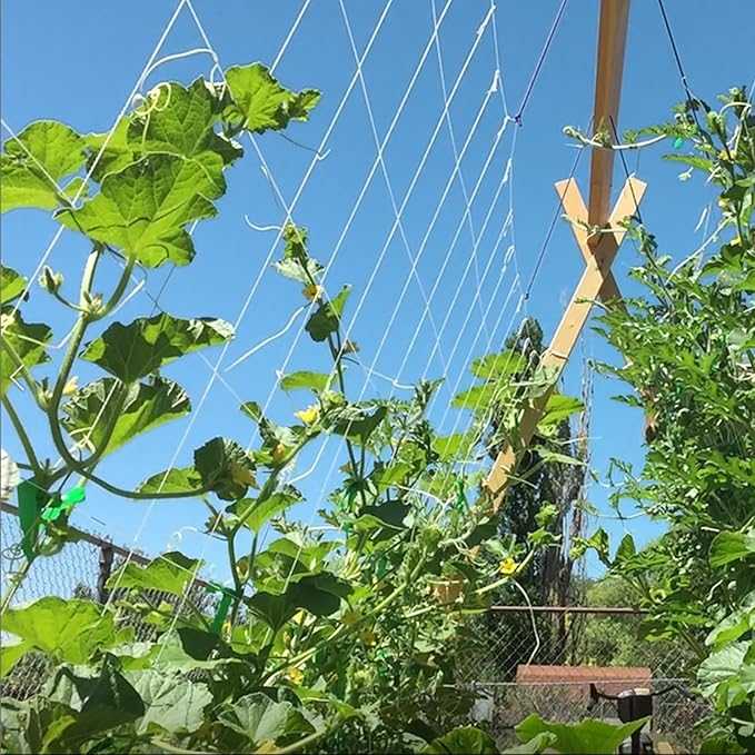 Trellis netting 6 inch mesh 5 x 60 - Progressive Growth Garden Supply