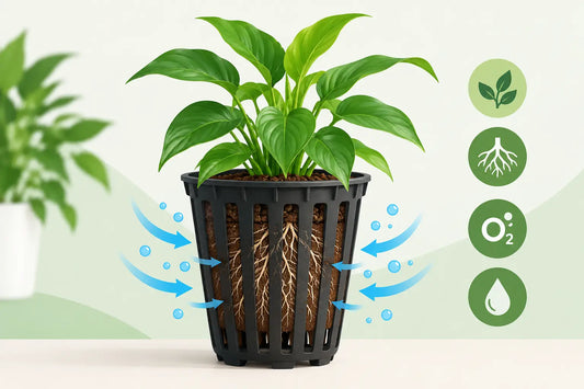 Benefits of Growing in Oxygen O2 Slotted Mondi Pots