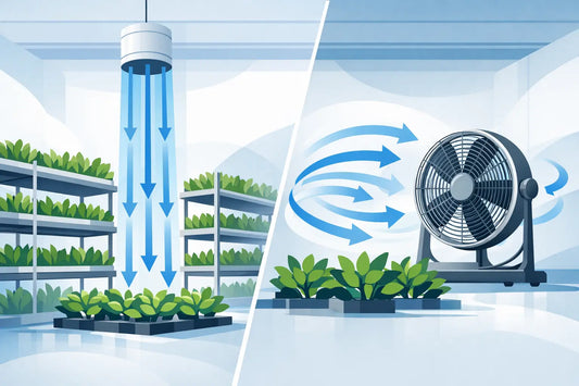 Vertical Airflow vs Traditional Circulation Fans