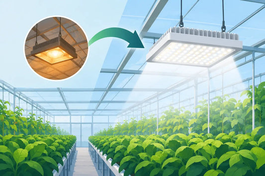 Commercial Greenhouse Lighting Retrofit Guide - Progressive Growth Garden Supply