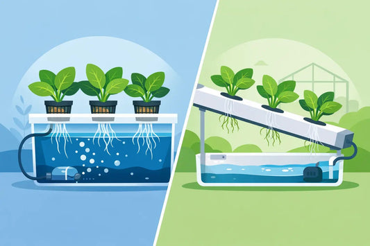 Deep Water Culture Versus NFT: Which Fits? - Progressive Growth Garden Supply