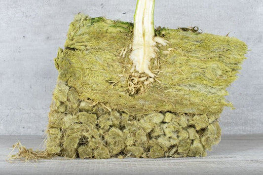 Rockwool Facts and Usage by General Hydroponics - Progressive Growth Garden Supply