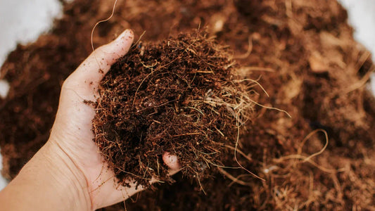 The Benefits of Coco Coir by Eric Biksa - Progressive Growth Garden Supply