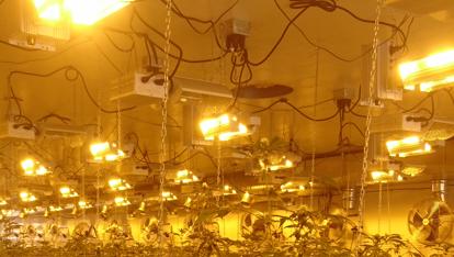 Light Controllers & Timers - Progressive Growth Garden Supply
