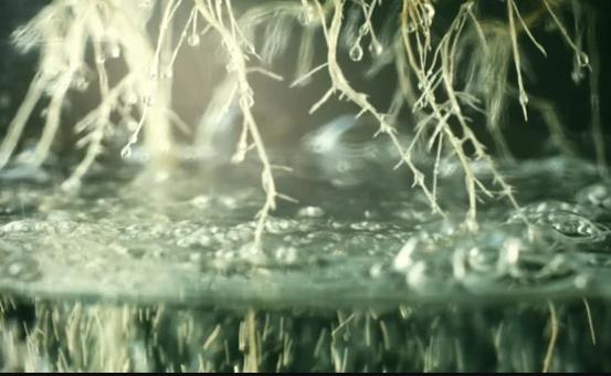 Water Control - Progressive Growth Garden Supply
