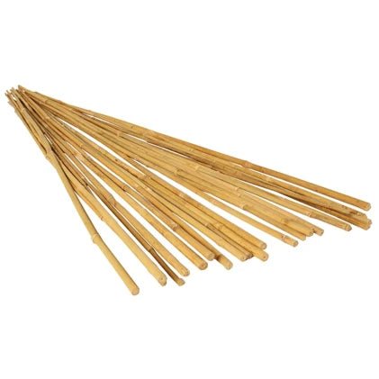 Bamboo Plant Support Stake 25PCS/BDL