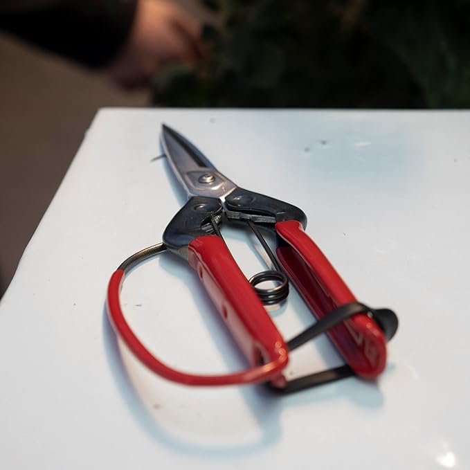 Chikamasa T - 710 GDX Professional Pruning Shears - Progressive Growth Garden Supply