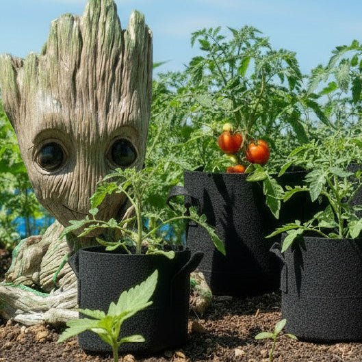 Fabric Pots 1 Gallon - Premium Planters - Progressive Growth Garden Supply