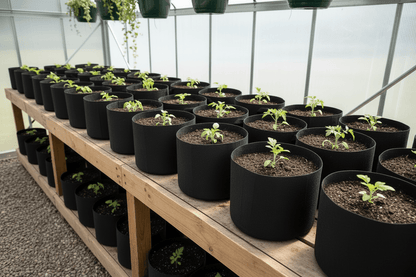 Fabric Pots 1 Gallon - Premium Planters - Progressive Growth Garden Supply