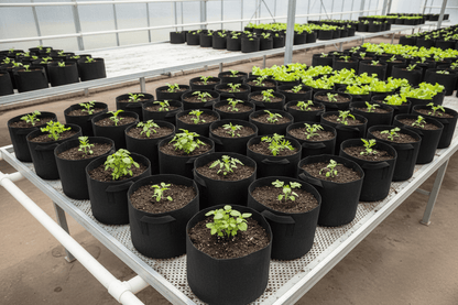 Fabric Pots 1 Gallon - Premium Planters - Progressive Growth Garden Supply