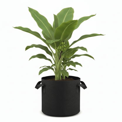 Fabric Pots 20 Gallon - Premium Planters with Handles - Progressive Growth Garden Supply