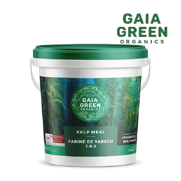 Gaia Green Organics Kelp Meal 1 - 0 - 2 - Progressive Growth Garden Supply