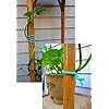 Garden Soft Twist Tie - Progressive Growth Garden Supply