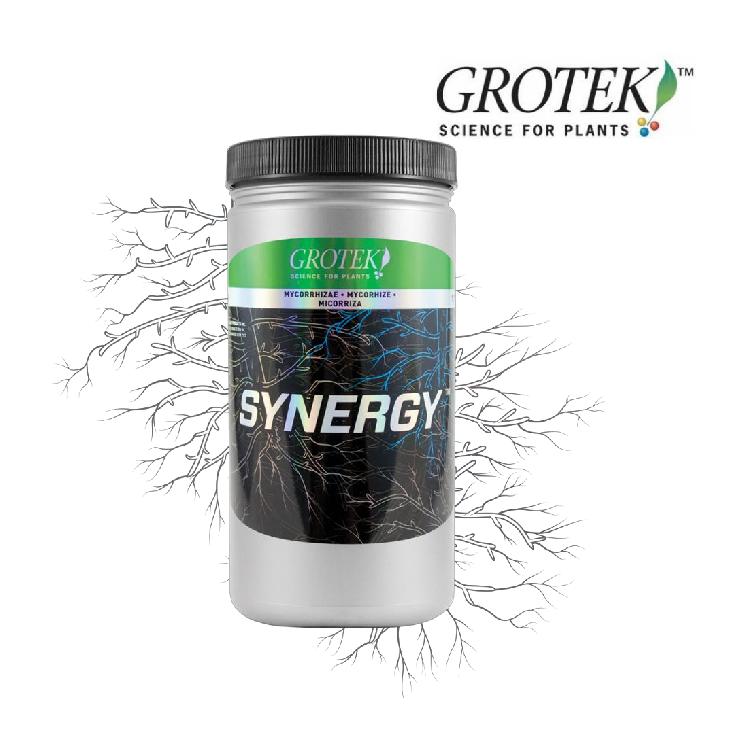 Grotek SYNERGY - MYCORRHIZAE - Progressive Growth Garden Supply