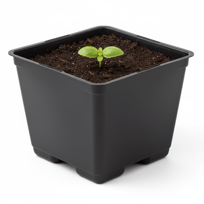 Grow Pro Black Square Pot Blow - Molded 4” - Progressive Growth Garden Supply