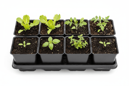 Grow Pro Black Square Pot Blow - Molded 4” - Progressive Growth Garden Supply