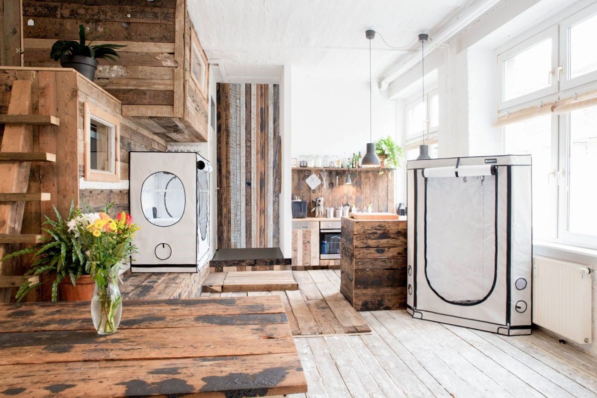 Grow Tent - Homebox Vista Triangle, - 120x85x160cm - Progressive Growth Garden Supply