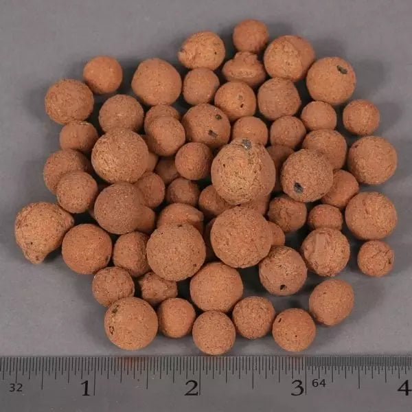 Hydroton Expanded Clay Pellets - Progressive Growth Garden Supply