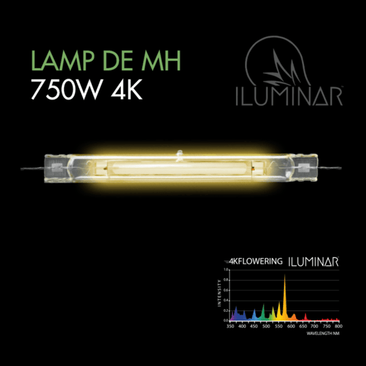 ILUMINAR DE MH 750W Lamp 4k - Progressive Growth Garden Supply