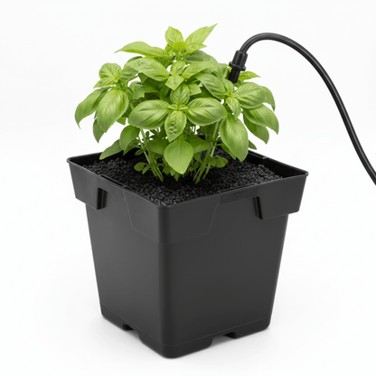 Jumbo Square Pot Black 5.5” (1 GAL) - Progressive Growth Garden Supply