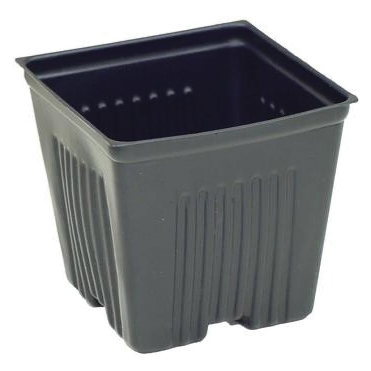 LIGHT PLASTIC POT 3.5" SQUARE - Progressive Growth Garden Supply