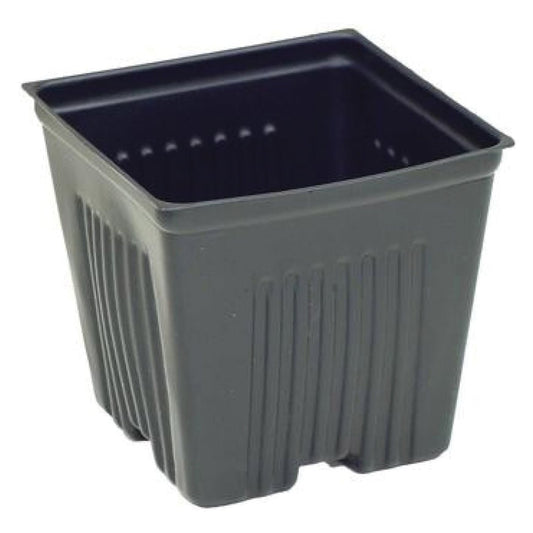 LIGHT PLASTIC POT 3.5" SQUARE - Progressive Growth Garden Supply