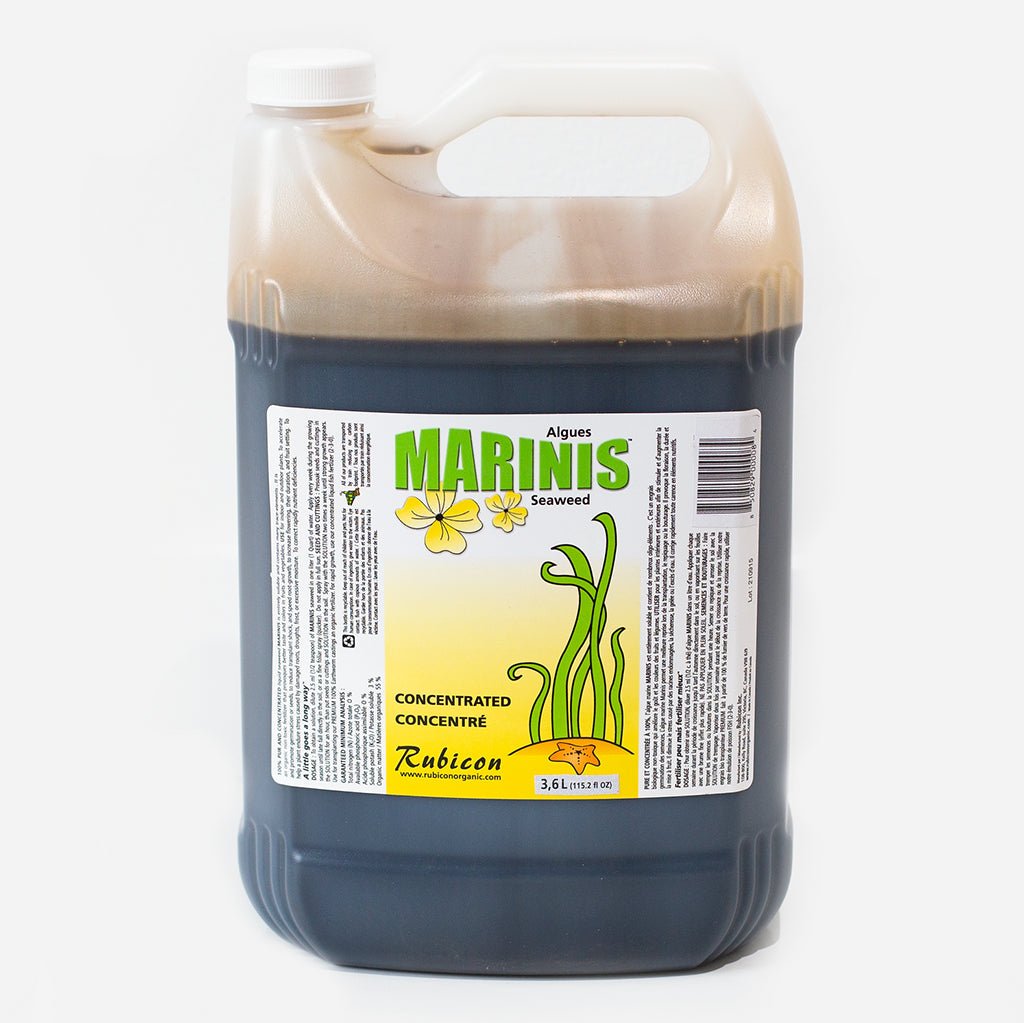 Marinis Seaweed 4 ltr - Progressive Growth