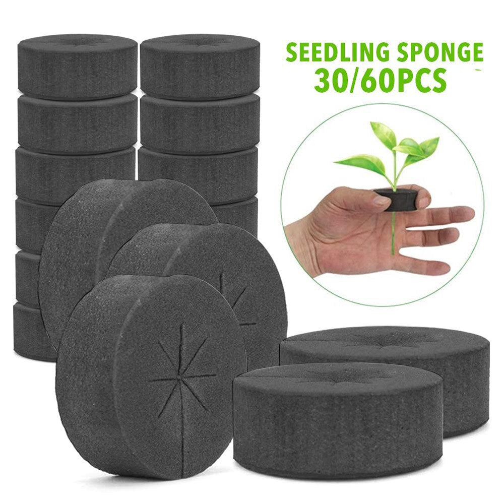 Pro Grow's Neoprene Disks - Progressive Growth Garden Supply