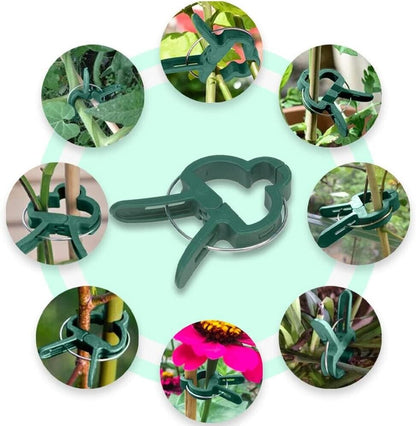 Plant Clips spring loaded small 50 pack