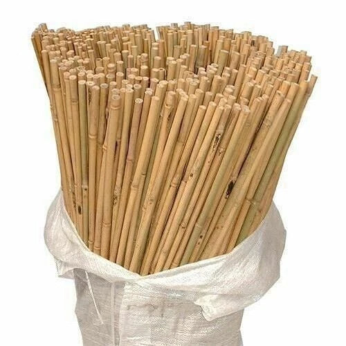 Bamboo Plant Support Stake 25PCS/BDL