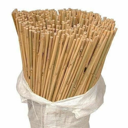 Bamboo Plant Support Stake 25PCS/BDL