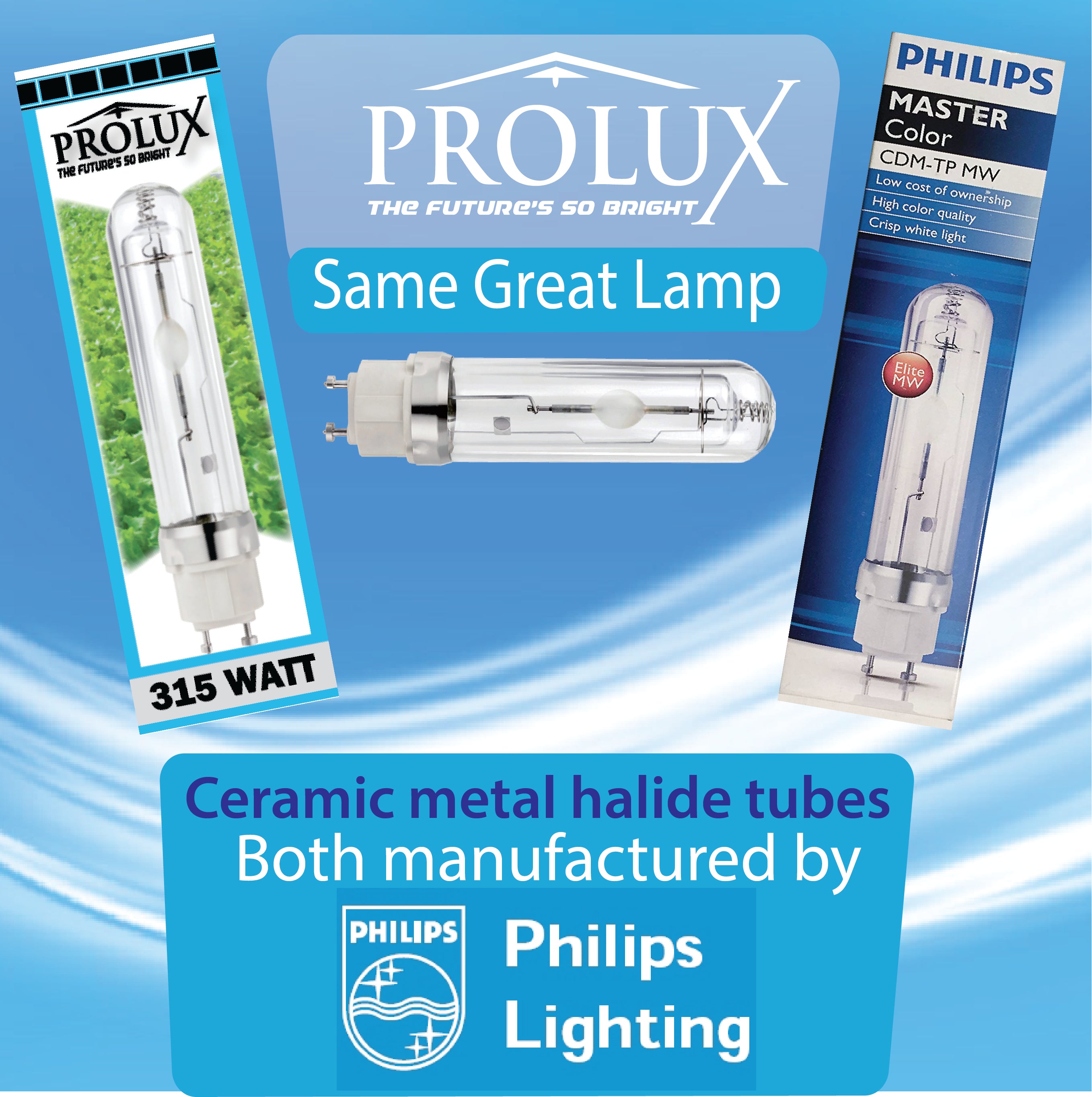 Prolux_3125_cmh_lamp